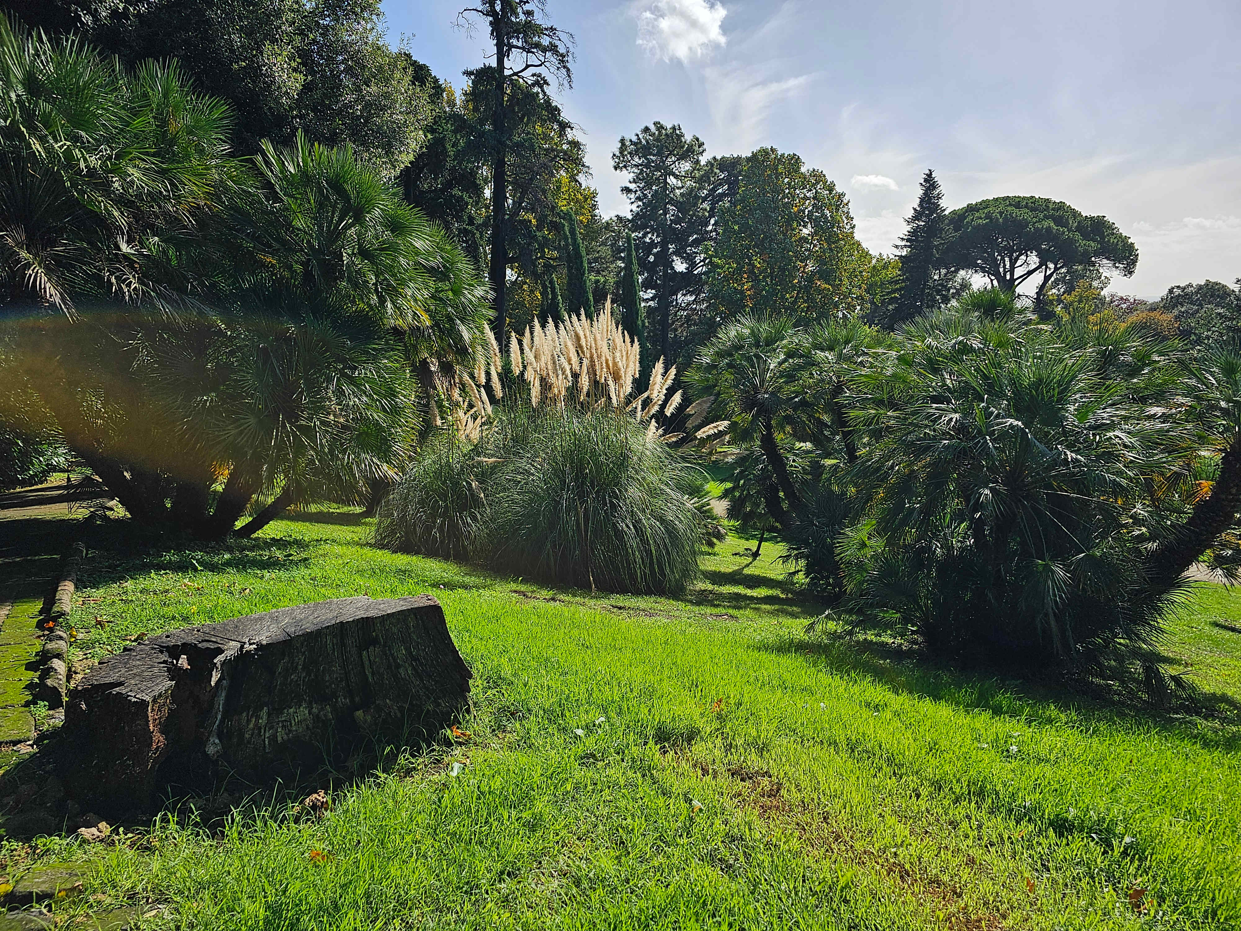 English Garden
